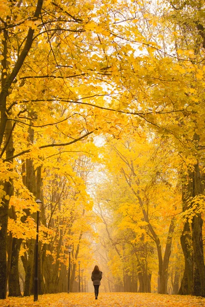 Sisli bir sonbahar gününde parkta yürüyen yalnız kadın. Yalnız kadın sonbaharda doğa manzara zevk. Sonbahar günü. Renkli dikey görüntü çimlerde oturan kız.