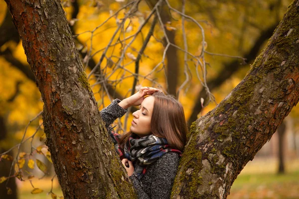 Sonbahar günü ağaç gövdesi Fularlı poz güzel esmer.
