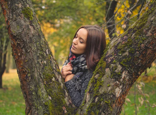 Schöne Brünette posiert im Baumstamm in Schal im Herbst Tag. — Stockfoto