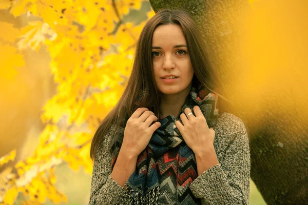 Güzel esmer eşarp sonbahar günü içinde. Sarı yaprakları ateş. Yalnız kadın sonbaharda doğa manzara zevk. Sonbahar günü. Renkli yatay görüntü çimlerde oturan kız.