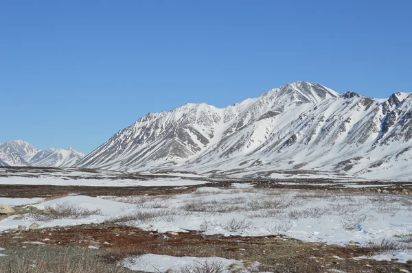 Chukotka gór w tundrze — Zdjęcie stockowe