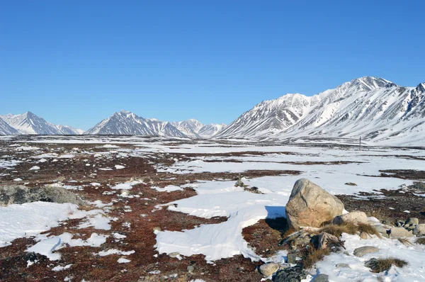 Tundra Çukotka dağlarda