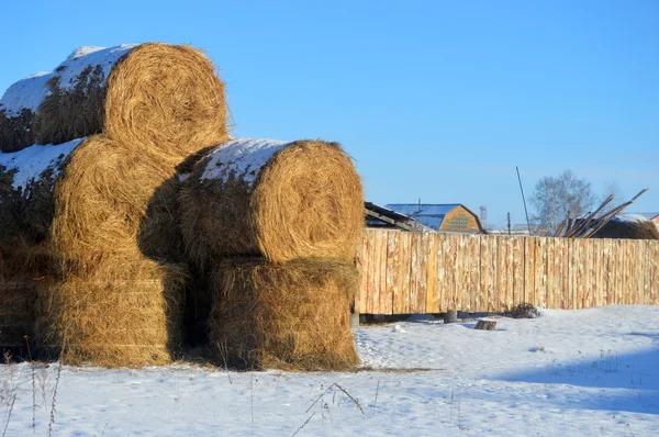 Balen hooi in de sneeuw — Stockfoto