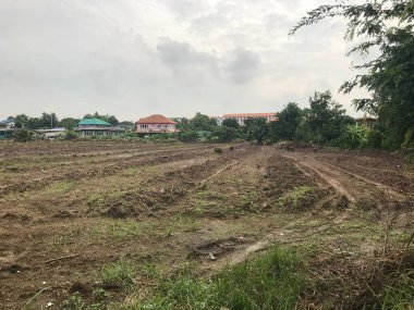 Tayland 'da satılık boş arazi