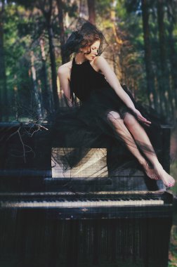 Sonbahar rüyası. Gerl