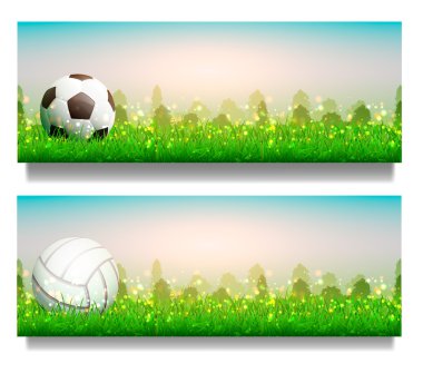 Voleybol ve futbol topu çim. Güzel yaz arka plan