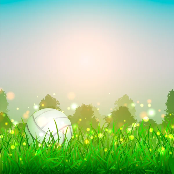 Volleyball ball on the grass. Beautiful summer background — Stock Vector