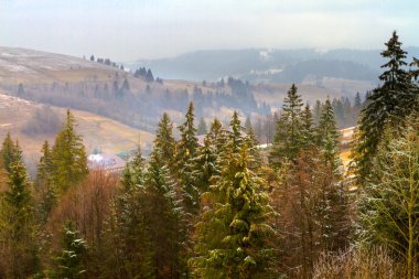 Sonbahar aylarında Ukrayna Karpatlar.
