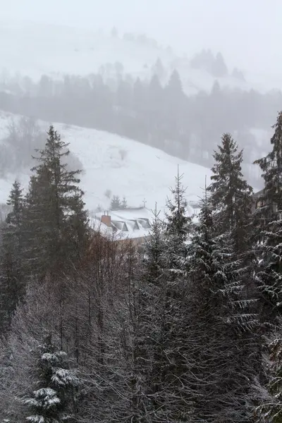 Invierno en los Cárpatos Ucranianos . — Foto de Stock