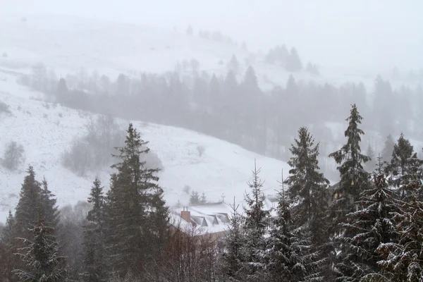 우크라이나어 Carpathians에서 겨울. — 스톡 사진