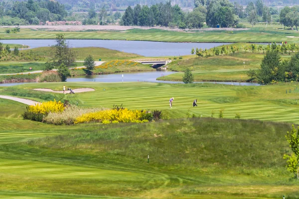 Golfing — Stock Photo, Image