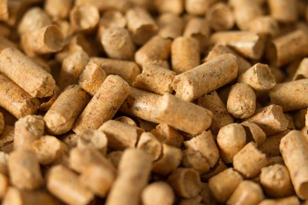 Macro de pellets — Foto de Stock