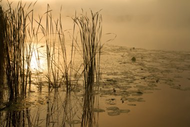 Sunrise sis Nehri üzerinde sepya içinde boyalı
