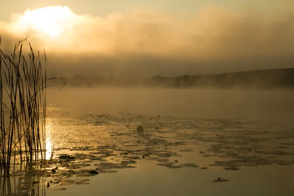 Névoa do nascer do sol no rio pintado em sépia — Fotografia de Stock