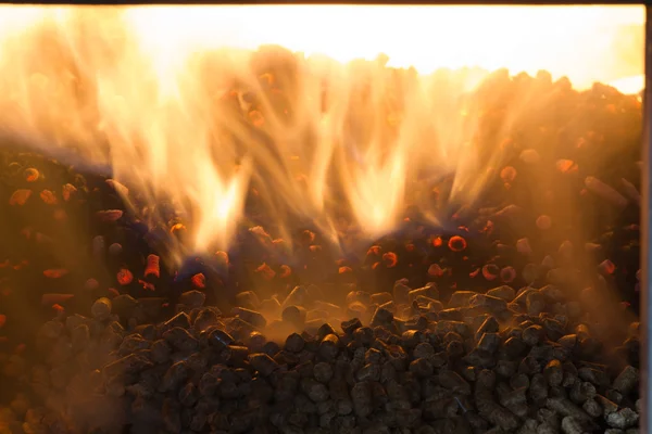 Quema en los pellets de horno de pino — Foto de Stock