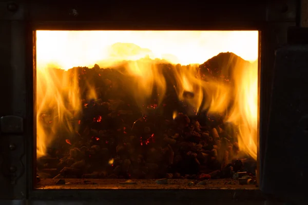 Quema en los pellets de horno de pino — Foto de Stock