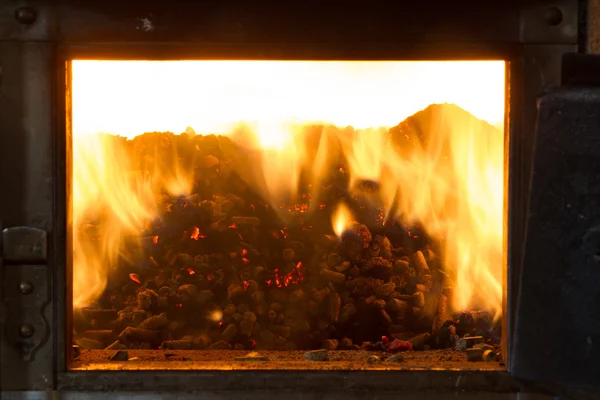 Quema en los pellets de horno de pino — Foto de Stock