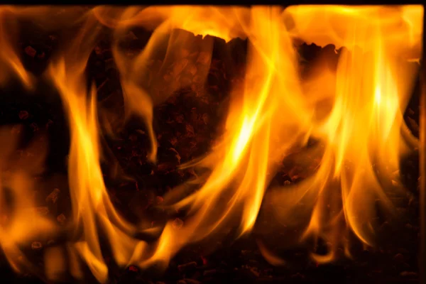 Quema en los pellets de horno de pino — Foto de Stock