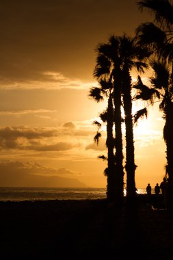 Palmiye ağaçları ve insanlar gün batımında kıvrımlarına. Sepya.