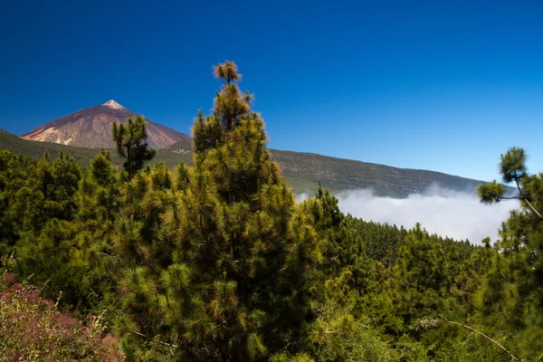 Vista sobre o pico do Monte Teide — Fotografia de Stock