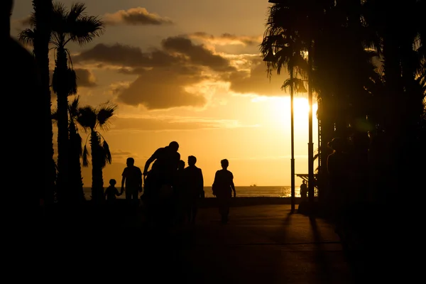 Umrisse von Palmen und Menschen bei Sonnenuntergang. Sepia. Stockbild