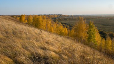 Rus doğa. alan manzara. nehir. Sonbahar