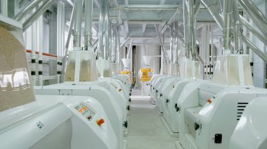 Elektrik değirmen makinaları buğday unu imalatı için. Tahıl ekipman. Tahıl. Tarım. Endüstriyel