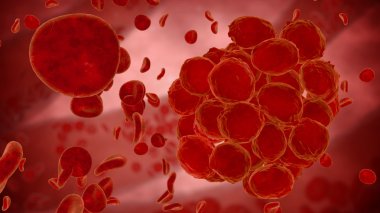 Eritrosit, kırmızı kan hücreleri, anatomi tıp kavramı