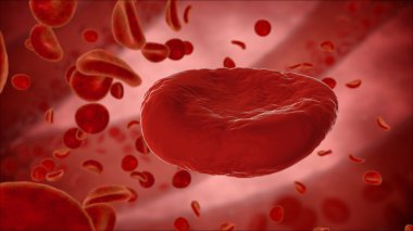 Eritrosit, kırmızı kan hücreleri, anatomi tıp kavramı