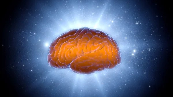 Beyin darbeleri. Nöron sistem. İnsan anatomisi. bakliyat aktarma ve bilgi üreten — Stok fotoğraf