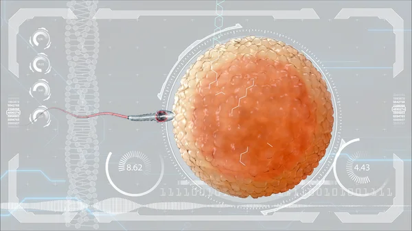 Сперма, сперматозоїд. яйцеклітинна яйцеклітина. Футуристичний медичний монітор. Медична концепція майбутнє — стокове фото