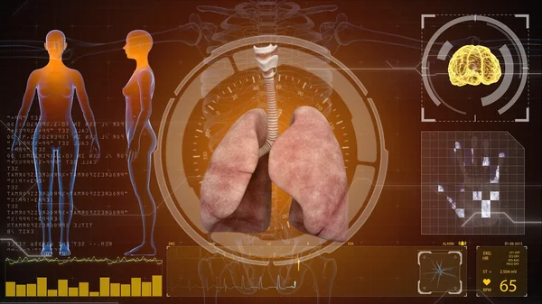 Az emberi anatómia. Emberi tüdő. HUD háttér. — Stock Fotó