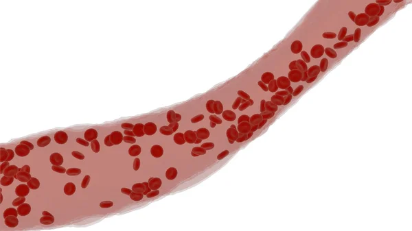 Ροή κύτταρα αίματος σε φλέβα. Προβολή εντός του οργανισμού. απομόνωση — Φωτογραφία Αρχείου