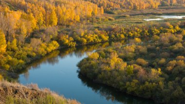 Rus doğa. alan manzara. nehir. Sonbahar