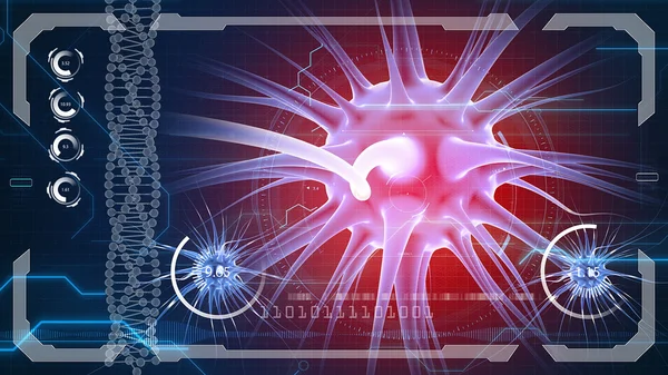 Impulsos cerebrais. Sistema neuronal. Anatomia humana. transferência de pulsos e geração de informações — Fotografia de Stock