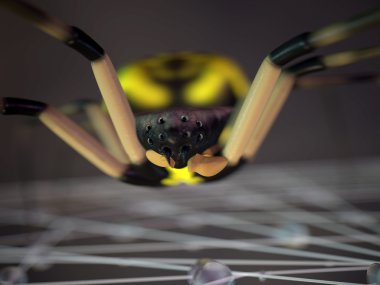 Örümcek ağı üstüne örümcek yağmurdan sonra