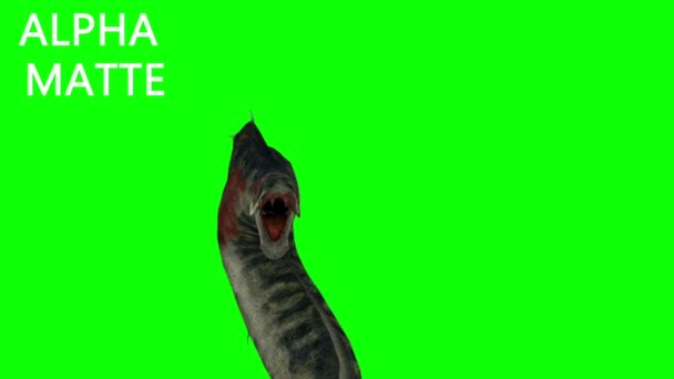 Animation dinosaure sur écran vert. GI rendu réaliste 