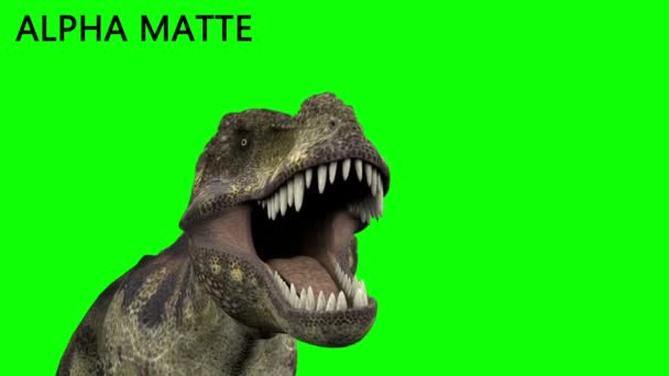 Animation dinosaure sur écran vert. GI rendu réaliste 