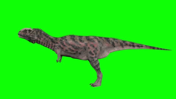 Анимация динозавров на зеленом экране. Реализация GI — стоковое видео