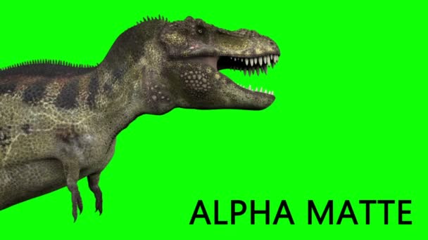 Dinosaur animation on green screen. GI realistic render — Stock Video