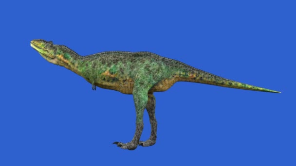 Dinosaur animatie op groen scherm. GI realistische render — Stockvideo