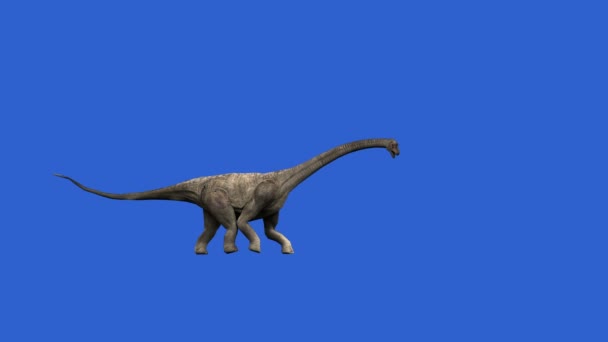 Dinosaur animation on green screen — Stock Video