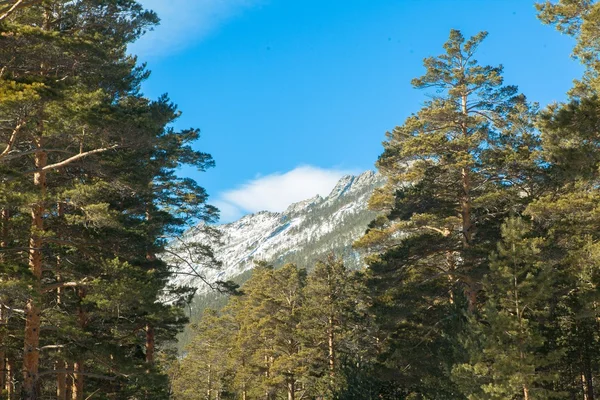 雪の山。冬の風景。カザフスタン国立公園 Burabai、Borovoe — ストック写真