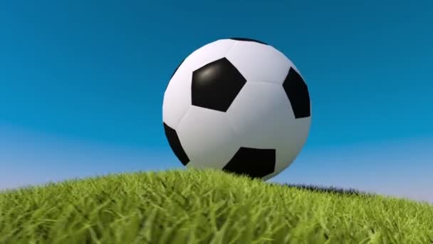 Fotbalový míč na travnatém kopci. 3D animace. Fotbal animace — Stock video