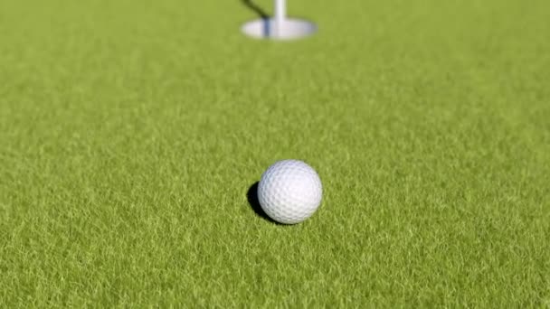 高尔夫。动画的高尔夫球球掉进一个洞 — 图库视频影像
