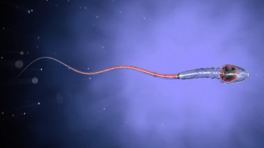 Ovule - 3d render için yüzen Spermatozoons, sperm,