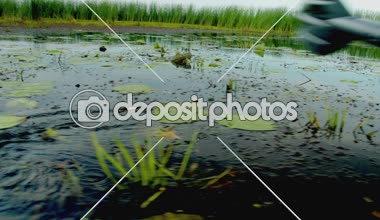 Kauçuk tekne kürek görünümüne kapatın. kürek kürek. Gölde yüzmeye. Sinema kamera görüntüleri
