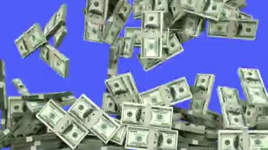 Dolarlar düşüyor. Geçiş. gerçekçi animasyon. Yeşil ekran görüntüleri