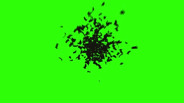 Стадо летучих мышей. стадо птиц. мистическая концепция Хэллоуина. зеленый экран — стоковое видео