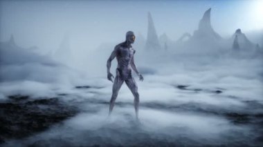 Yabancı gezegendeki uzaylı. Mars yüzeyi. UFO konsepti. Gerçekçi 4k animasyonu.